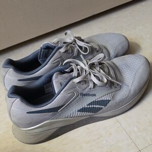 Reebok Men's Silver and Gray Athletic Shoes